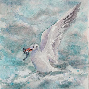 Seagulls Watercolor Original Painting Ocean Miniature Wall art Sea Bird Decor 7 by 5