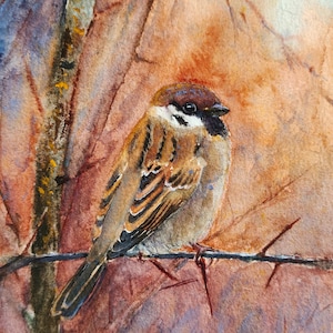 Sparrow Watercolor Original Painting Miniature Wall art Bird Decor 7 by 5