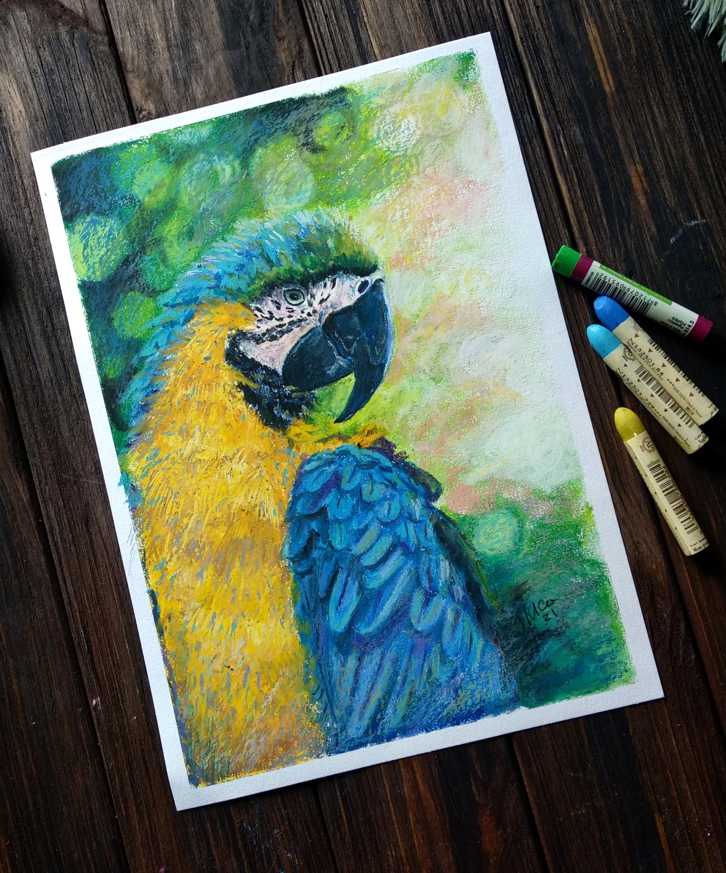 Blue Macaw Parrot Painting Original. Oil Pastel Painting. Blue - Etsy Australia Blue Macaw Parrot Painting Original. Oil Pastel Painting. Blue - Etsy Australia