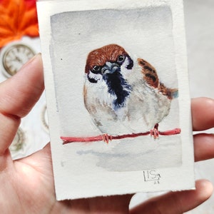 ACEO Card Pittura ad acquerello in miniatura originale ACEO Bird Collection Sparrow Bird Art Decor 2,5" per 3,5" di ArtStudiaLisa