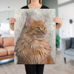 Custom Cat Portrait Gift Canvas, Dog Portrait, Personalized Dog or Cat Sketch, Custom Cat Drawing, Drawn Pet Loss Bereavement Memorial