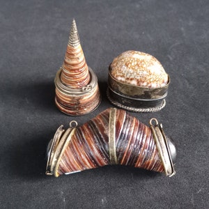 Könnte beinhalten: Drei dekorative Schachteln aus Muscheln mit silbernen Akzenten. Die Schachteln haben die Form eines Kegels, einer Kuppel und einer geschwungenen Form.