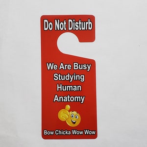 May include: Red door hanger with the text "Do Not Disturb" and "We Are Busy Studying Human Anatomy". A yellow smiley face with a thumbs up is below the text. The bottom of the hanger says "Bow Chicka Wow Wow".