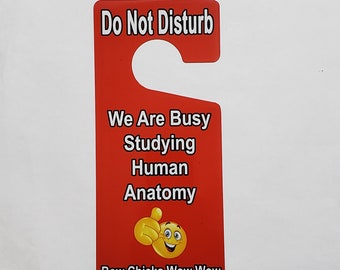 Türknauf Aufhänger, Aluminium, Bitte nicht stören, Wir sind damit beschäftigt, die menschliche Anatomie zu studieren, lustig, Erwachsenen Humor, frech, College, Studentenwohnheim, Türhänger