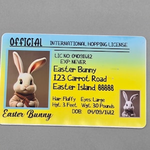 May include: A yellow and blue International Hopping License card with a cartoon Easter Bunny wearing a brown coat. The card has the bunny's name, address, and date of birth. The text on the card reads: "OFFICIAL INTERNATIONAL HOPPING LICENSE", "LIC NO: 04091682", "EXP: NEVER", "Easter Bunny", "123 Carrot Road", "Easter Island, 88888", "Hair: Fluffy", "Eyes: Large", "Hgt: 3 Feet", "Wgt: 30 Pounds", "DOB: 04/09/1682".