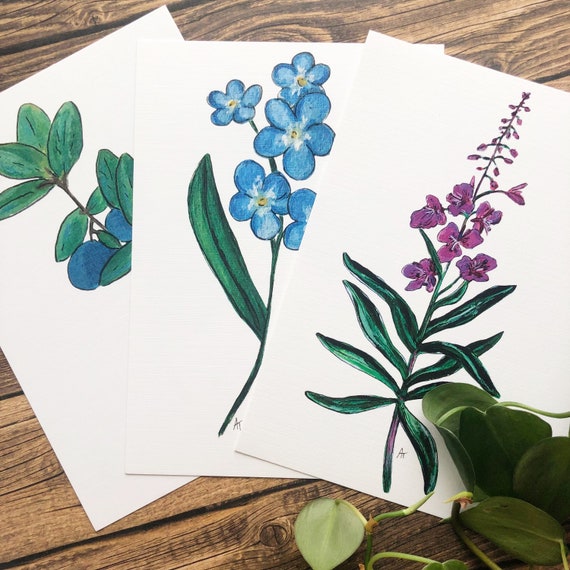 南壽あさ子　オルゴール　Forget me not 限定品 forget me not【通常盤】 | 南壽あさ子 | ヤマハミュージック