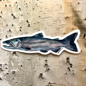 Fish Sticker | Alaskan Salmon | Alaskan artist, local art | Durable, waterproof, weather proof | water bottle, laptop, stocking stuffer