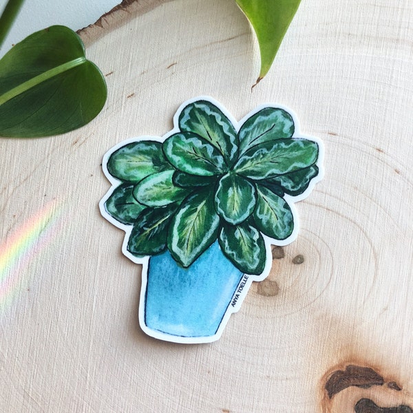 Plant Sticker | Calathea Medallion Sticker | Art by Anya Toelle | House Plants | Plant Parent | Alaskan Artist | Indoor Plant Sticker