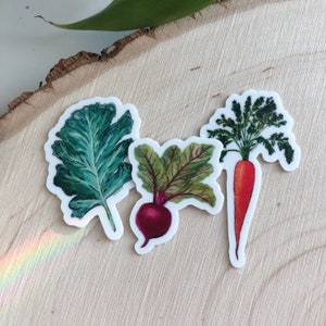 Mini autocollants végétariens | Art par Anya Toelle | Autocollant miniature | Petits autocollants | Chou frisé, betterave, carotte | | de décoration de jardin