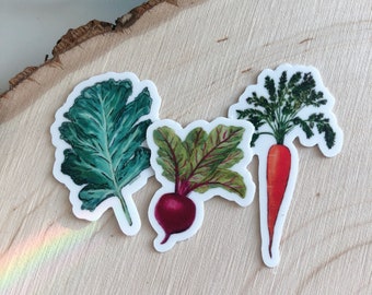 Mini Veggie Stickers | Art by Anya Toelle | Miniature Sticker | Small Stickers | Kale, Beet, Carrot | Garden Decor |