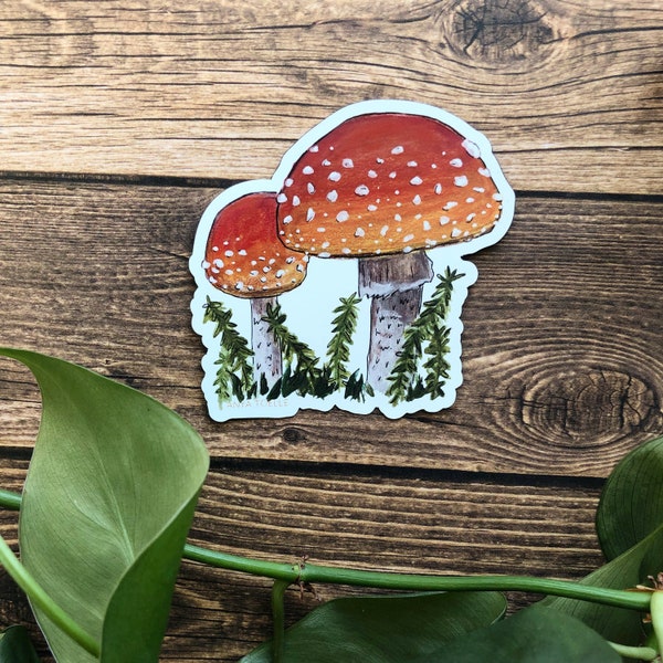 Amanita Mushroom Magnet | Anya Toelle | Car Magnet | Alaskan Artist | Magnet | Refrigerator Magnet | Bumper Sticker | Bumper Magnet