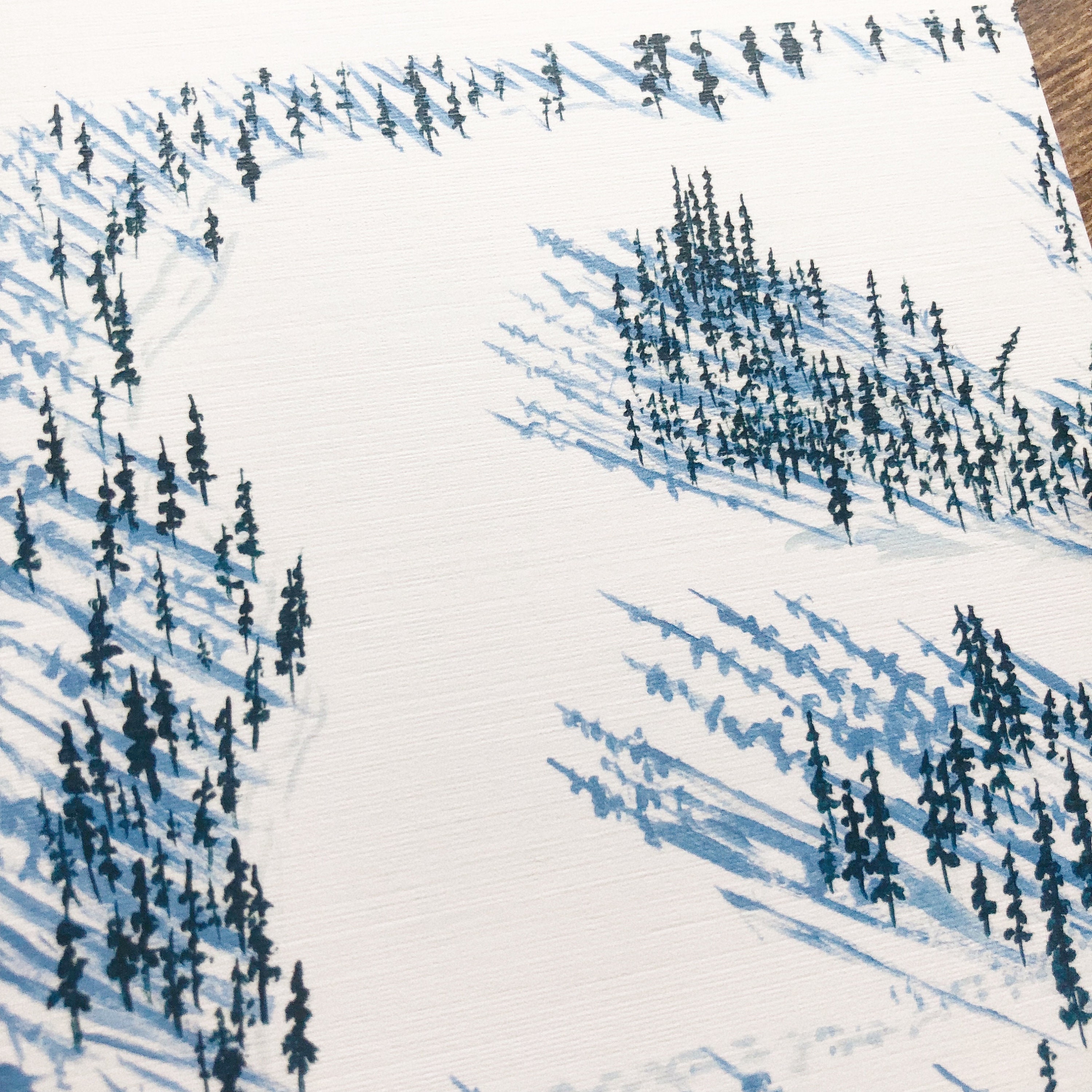 Spruce Tree Shadow Print | Art by Anya Toelle | Spruce Tree Painting ...