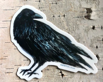 Raven Sticker | Alaskan bird | Sticker, water bottle, laptop, car | Alaskan artist | Bird Sticker | Raven Decal