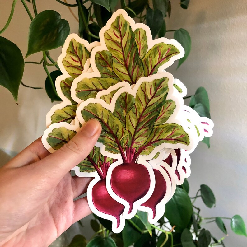 Beet Sticker | Vegetable, Harvest, Garden, Summer | Acrylic Paint ...