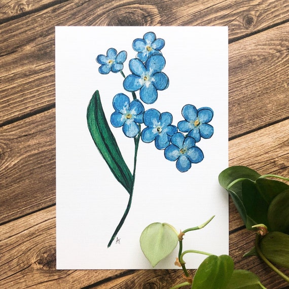 Forget-me-not Print | Art by Anya Toelle | Alaska State Flower