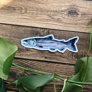 Fish Magnet | Alaskan Salmon | Alaskan artist, local art | Durable, waterproof, weather proof | car, refrigerator
