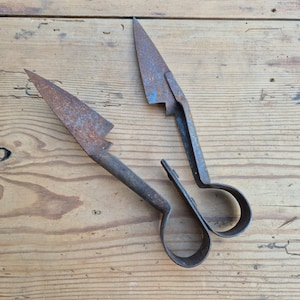 Antique sheep shears, old hand tools