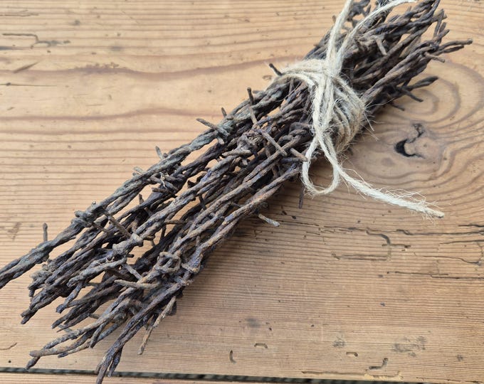 Rustic, Rusty Barbed Wire. (10) 1 Foot Lengths of 2 Strand 4 Prong ...