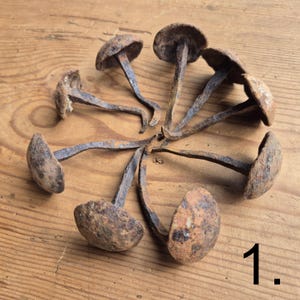 May include: A collection of antique, rusty metal tacks with large, rounded heads. The tacks are arranged in a circular pattern, showcasing their aged, weathered appearance. The number 1 is in the bottom right corner.