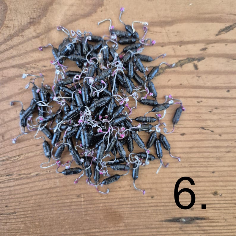 K&ouml;nnte beinhalten: Eine Ansammlung zahlreicher kleiner, schwarzer, zylindrischer elektronischer Bauteile, die jeweils &uuml;ber zwei d&uuml;nne, gebogene Metalldr&auml;hte mit rosa Spitzen verf&uuml;gen. Die Bauteile liegen geh&auml;uft zusammen und die Zahl 6 ist schwarz in der Ecke aufgedruckt.