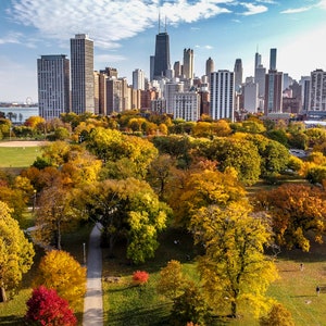 Farben des Herbstes im Lincoln Park Chicago