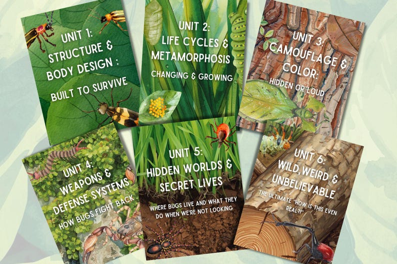 Bug Unit Study | 30-day Elementary Insect Curriculum | Anthology of ...