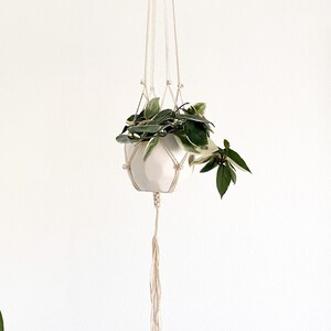 Rosie Macrame Plant Hanger - Handmade, cotton cord, minimalist gifts