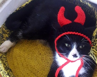 Devil Cat Hat/Halloween Cat Hat/Devil Hat for Cats/Small Dog Hat/Crochet Cat Hat/Halloween Costume/Free Shipping worldwide