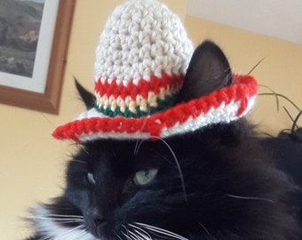 Cinco de Mayo sombrero/Cinco de Mayo cat hat/Mexican party/Small dog hat/Taco cat hat