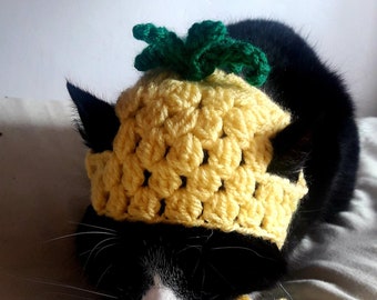 Pineapple hat/Cat hat/Cute cat hat/Cat beanie/Pet hat/Hat for cat/Small pet hat/Kittens hat/Animal costume