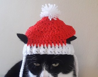 Santa Cat Hat/Christmas Cat hat/Santa Hat for Cats/Kittens Hat/Holiday Cat Hat/Katzen Hut/Crochet Cat Hat/chapeau de père Noël/Cat beanie