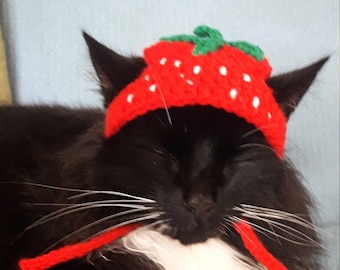 Strawberry hat/Strawberry Cat Hat/Strawberry hat for cat/Mütze für katzen/Hat for cat/Small pet hat/Gift for pet