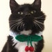 see more listings in the Pet Neckware section