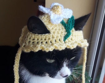 Daisy Hat/Hat for Cats/Cat Hat/Kittens hat/Cat beanie/Puppy hat/Small pet hat/Gift for pet