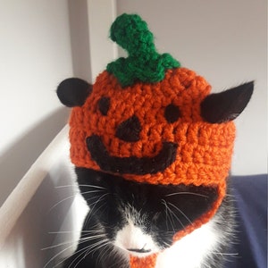 Halloween cat hat/Pumpkin Cat Hat/Small Pet hat/Halloween hat for cats/HatzenHut/Cat Wig/Halloween Cat/Free Shipping worldwide image 1