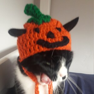 Halloween cat hat/Pumpkin Cat Hat/Small Pet hat/Halloween hat for cats/HatzenHut/Cat Wig/Halloween Cat/Free Shipping worldwide image 2