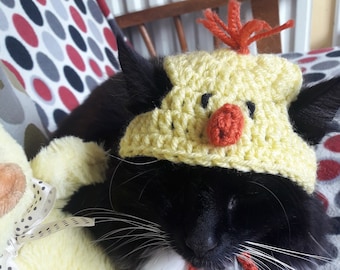 Chick Cat hat/Chick dog hat/Easter Pet hat/Small pet hat/Hat for Cats/Animal hat/Cat beanie