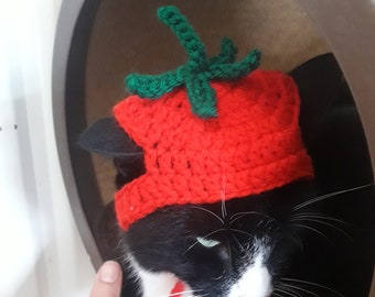Tomato hat/Tomato cat hat/crochet tomato cat hat/Hat for cat/XS dog hat/Red hat/mütze für katzen/Tomatenmtze/pet hat