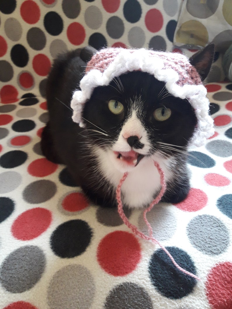 Cat For Cats/Crochet Etsy