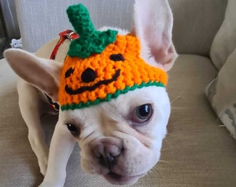 Pumpkin dog Hat/Halloween dog Hat/Thanksgiving dog Hat/Halloween Costume/dog Hat/french bulldog Hat/Small dog hat/Free Shipping worldwide