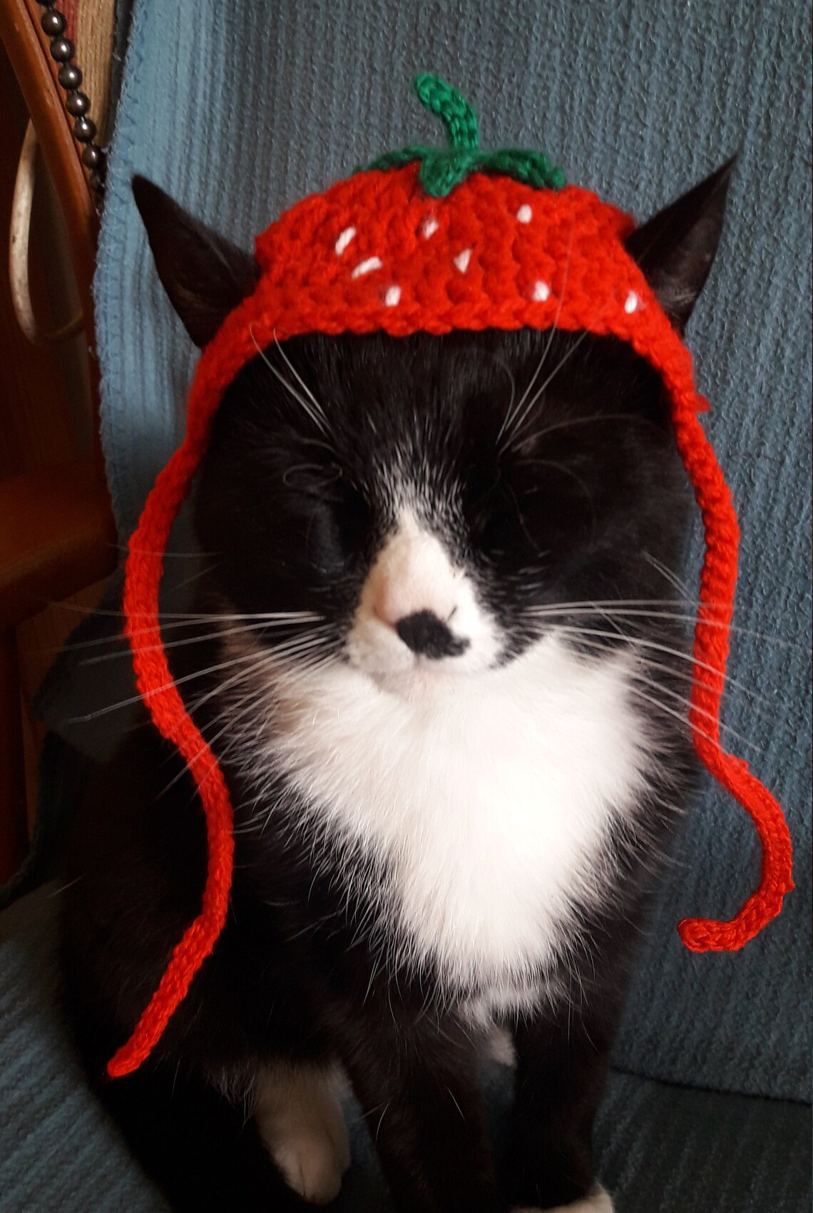 Strawberry hat/Strawberry Cat Hat/Strawberry hat for cat/Cat Etsy