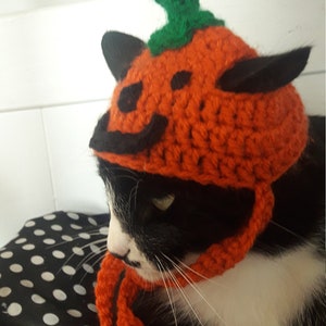 Halloween cat hat/Pumpkin Cat Hat/Small Pet hat/Halloween hat for cats/HatzenHut/Cat Wig/Halloween Cat/Free Shipping worldwide image 9