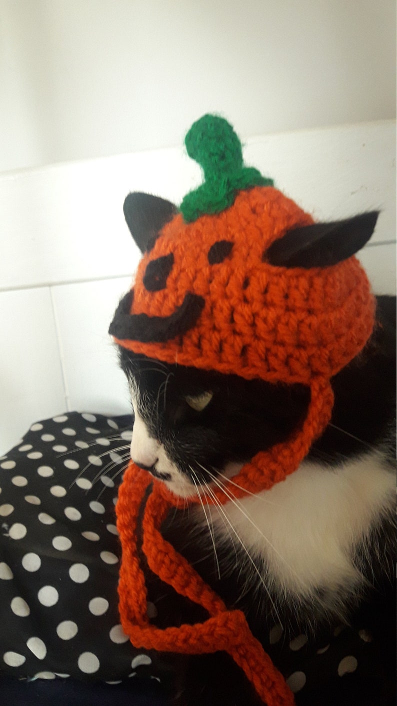 Halloween cat hat/Pumpkin Cat Hat/Small Pet hat/Halloween hat for cats/HatzenHut/Cat Wig/Halloween Cat/Free Shipping worldwide image 9