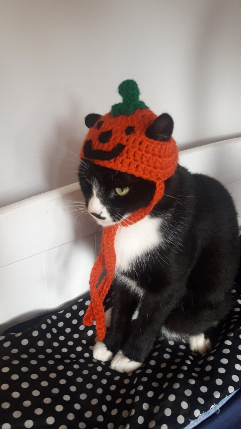 Halloween cat hat/Pumpkin Cat Hat/Small Pet hat/Halloween hat for cats/HatzenHut/Cat Wig/Halloween Cat/Free Shipping worldwide image 6