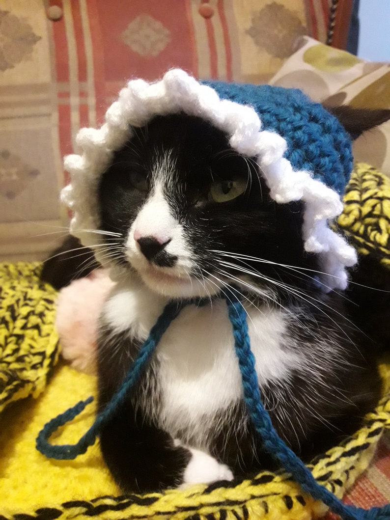 Cat For Cats/Crochet Etsy