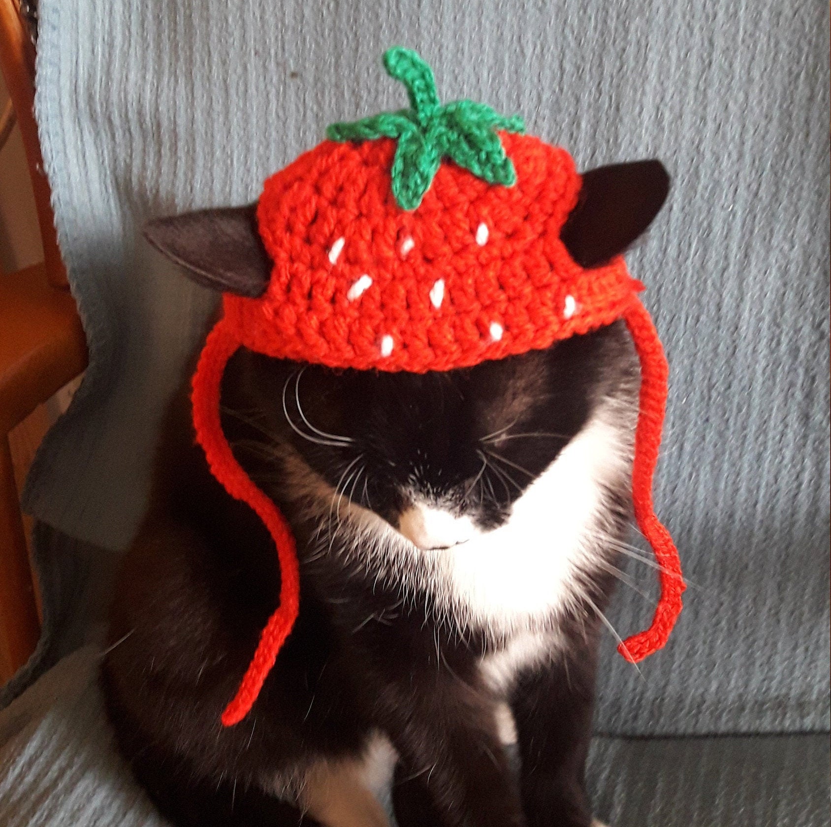 Strawberry hat/Strawberry Cat Hat/Strawberry hat for cat/Cat Etsy