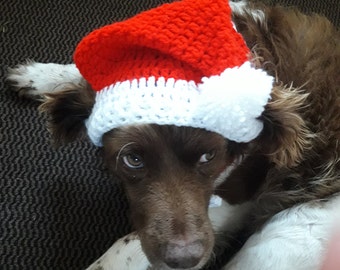 Cappello per cani di Natale/Cappello per cani di Babbo Natale/Cappello per cani all'uncinetto/Cappello per cani/Cappello per cani festivi/Cappello natalizio per cani/Cappello per cucciolo/Hund weihnachten/kerst hond hoed