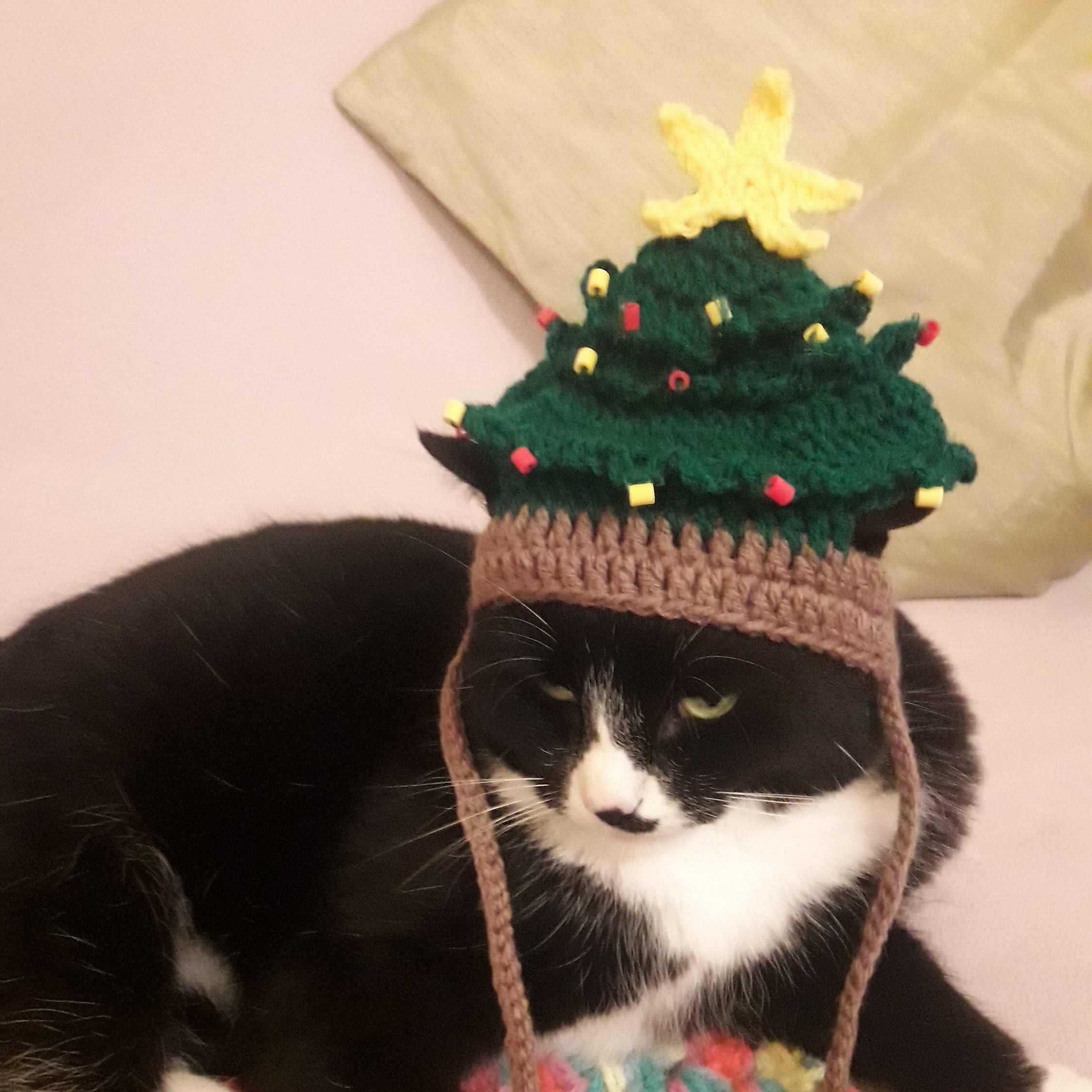 Cat Hat Christmas Cat Hathat for Cats 