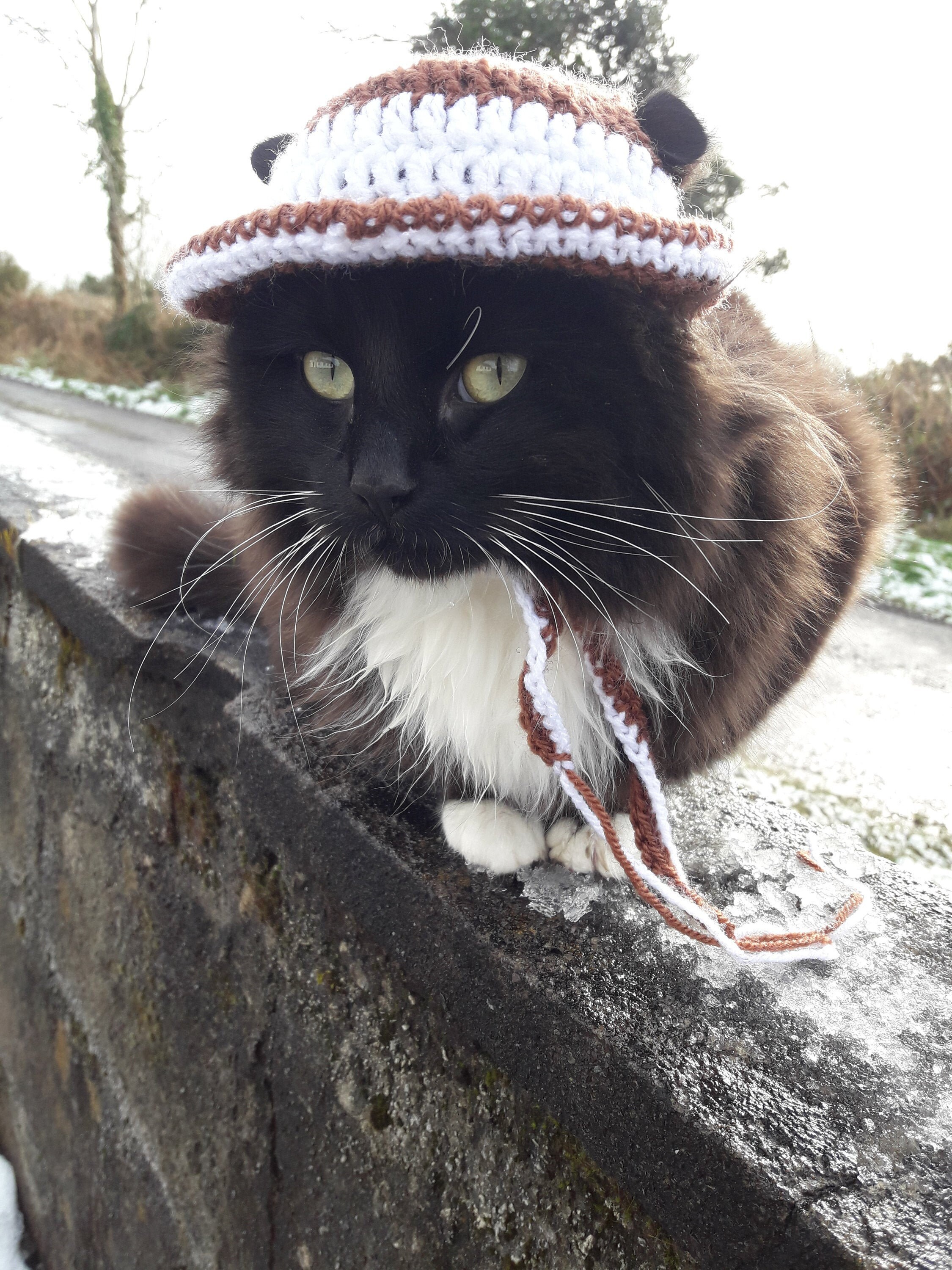 Cat Bonnet/cat Hat/beanie for Cat/pet Hat/kitty Hat/ Kitten