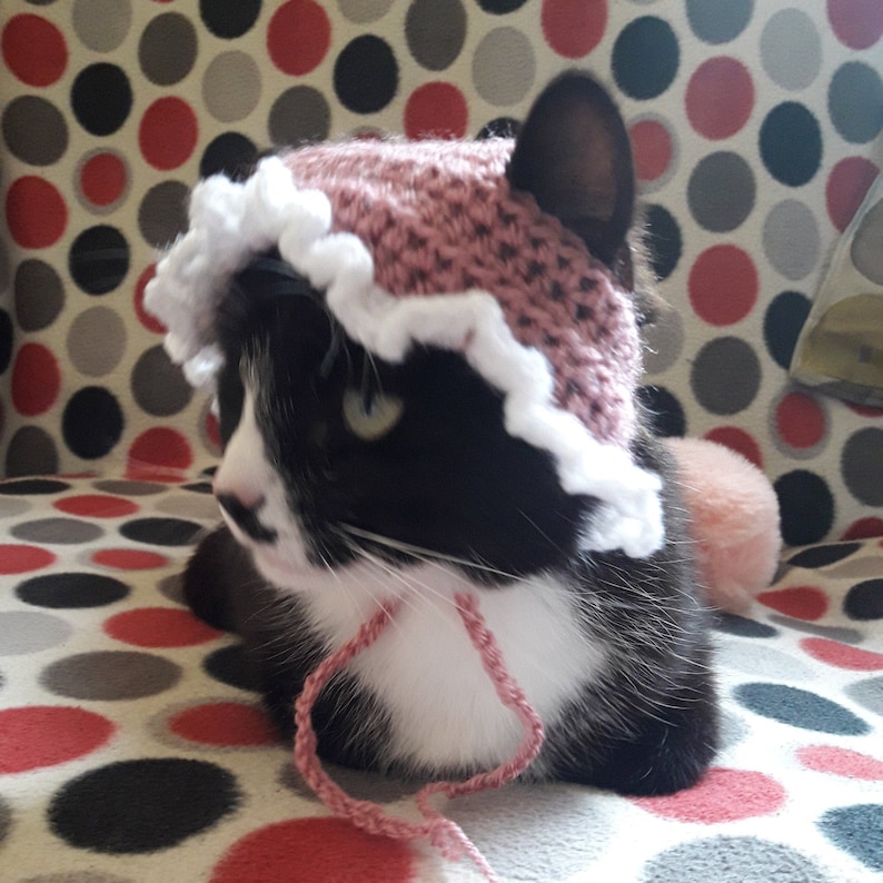 Cat for Cats/crochet Etsy
